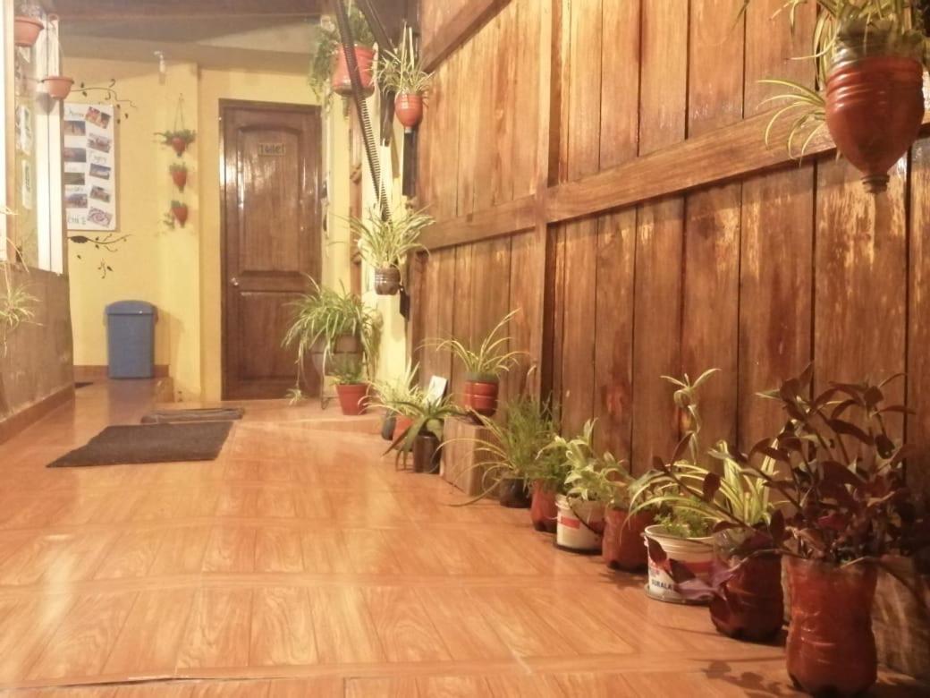Eco Aventura Hostel Cusco Luaran gambar